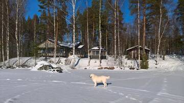 Фото номера Шале с 3 спальнями Виллы Villa Lokki г. Париккала 22