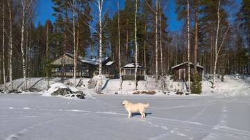 Фото номера Шале с 3 спальнями Виллы Villa Lokki г. Париккала 37